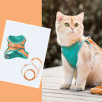 Glow-in-the-Dark Adjustable Cat & Dog Harness with Leash - Comfortable, Breathable, and Reflective! Perfect for Night Walks! 🐾✨