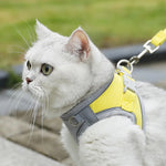 Glow-in-the-Dark Adjustable Cat & Dog Harness with Leash - Comfortable, Breathable, and Reflective! Perfect for Night Walks! 🐾✨