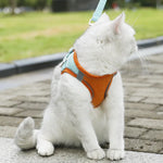 Glow-in-the-Dark Adjustable Cat & Dog Harness with Leash - Comfortable, Breathable, and Reflective! Perfect for Night Walks! 🐾✨