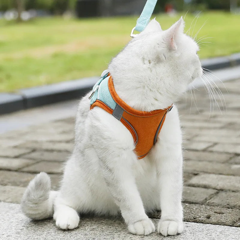 Glow-in-the-Dark Adjustable Cat & Dog Harness with Leash - Comfortable, Breathable, and Reflective! Perfect for Night Walks! 🐾✨