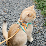 Glow-in-the-Dark Adjustable Cat & Dog Harness with Leash - Comfortable, Breathable, and Reflective! Perfect for Night Walks! 🐾✨