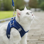 Glow-in-the-Dark Adjustable Cat & Dog Harness with Leash - Comfortable, Breathable, and Reflective! Perfect for Night Walks! 🐾✨
